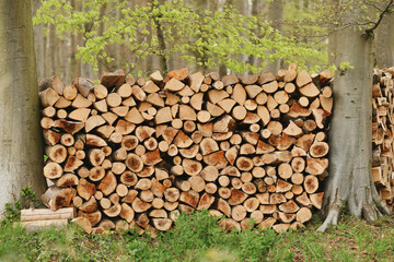A row of wooden logs for a fireplace
