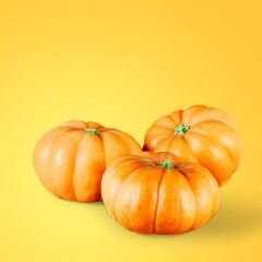 Fresh ripe Pumpkin on colored background