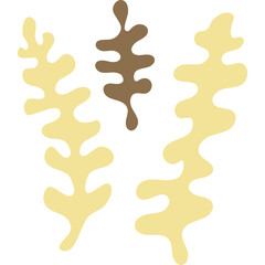 Boho Organic Plant (10)