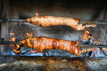 Roasted whole pigs on fire. Grilled pig on skewer. Roasting pig on a spit. Barbecue.