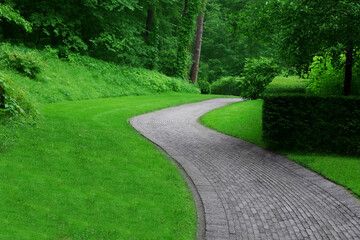 Fototapeta na wymiar Beautiful green park with paved pathway. Landscape design
