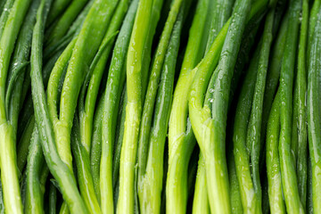 Fresh green spring onions with water drops as background, closeup