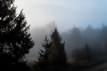 The Fog Rising In the Morning Light