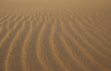 Fototapeta premium Closeup of sand pattern of a beach in the summer.