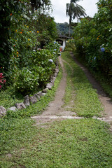 Dirt road and grass, white rustic house in the background.