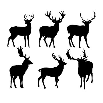 Set of deer silhouettes vector design