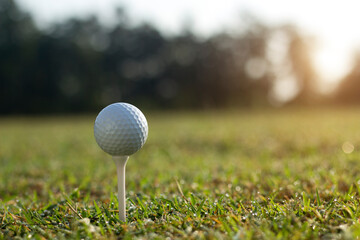 golf ball on tee in a beautiful golf course with morning sunshine