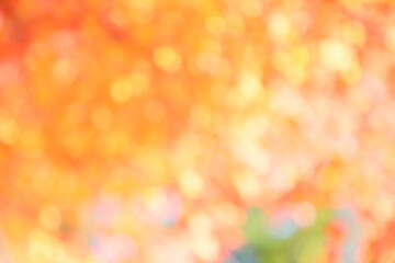 かえでの紅葉のぼかし