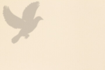 flying dove feathers shadow texture in light brown leather background with text copy space