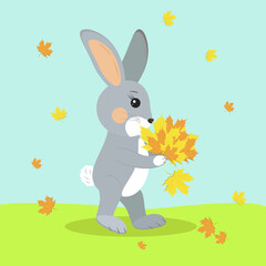 rabbit rejoices in autumn leaf fall
