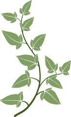 Simplicity ivy freehand drawing	