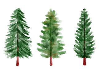 Pine Christmas Tree Watercolor