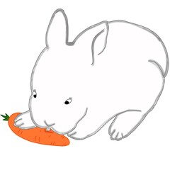Little bunny and delicious carrots