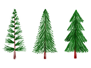 Christmas Fir Tree Watercolor