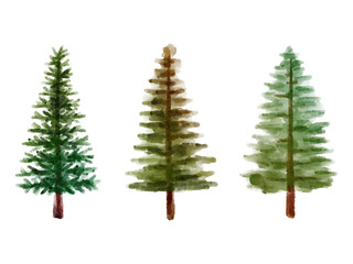 Christmas Pine Tree Watercolor