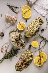 Fresh Pacific Oysters on a light background. Lemon and oregano. Selective focus. Vertical shot. Top view