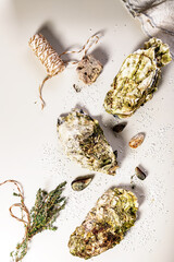 Fresh oyster and oregano. Food flat lay composition on a light background. Healthy and tasty natural seafood. Vertical shot