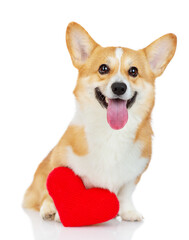 Corgi dog sitting on a white background with a big plush heart. Isolated on white background