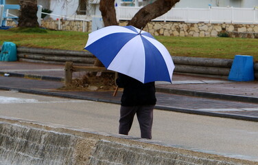 Umbrella in the city park near the sea.
