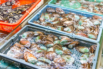 Selling mussel in the wet market