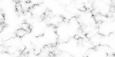 Fototapeta premium Abstract background with Seamless Texture Background, Black and white Marbling surface, with geometric line Illustration design for wallpaper or skin wall tile luxurious material interior or exterior 