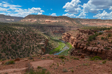 Fototapeta na wymiar Dolores river canyon scenic view from Hanging Flume viewpoint on Unaweep-Tabeguache scenic byway (Colorado, USA) Uravan, Montrose County, Colorado, USA