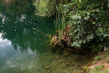 View into the water by the shore in an old flooded quarry. Opatovice. Central Moravia. Czechia.