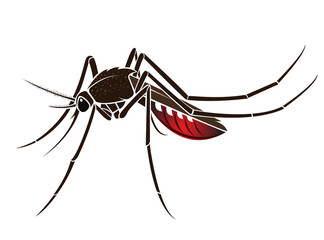 Mosquito design isolated on transparent background. Wild Animals. Insect.