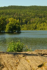 Vertical shot of a tranquil lake with green shrubs and rocks on its shore on a sunny day in Norway