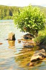 Vertical shot of a tranquil lake with green shrubs and rocks on its shore on a sunny day in Norway