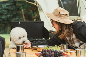 秋冬のキャンプ場で犬に餌をあげるアジア人女性キャンパー
