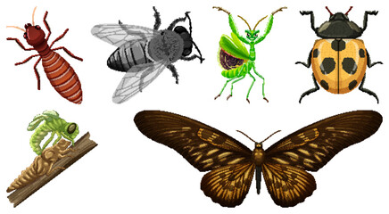 Collection of different insects vector