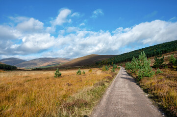 Fototapeta premium Dirt road in the Cairngorms mountains