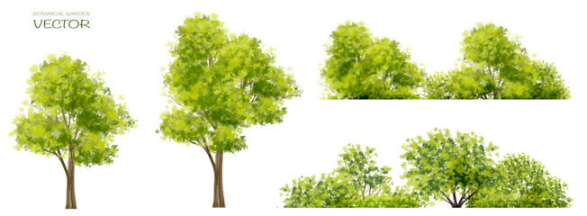 Fototapeta premium Vector watercolor blooming flower,tree or forest side view isolated on white background for landscape and architecture drawing,elements for environment and garden,botanical for section in spring