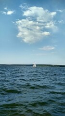  white sail floats on the river