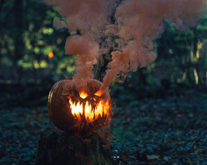 Halloween Kürbis mit Rauch im Wald
