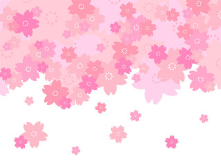 背景素材 桜 春 満開 ピンク色 透過PNG