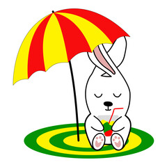 hare, rabbit symbol year 2023