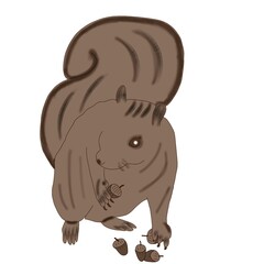Little Squirrel and Pine Cone