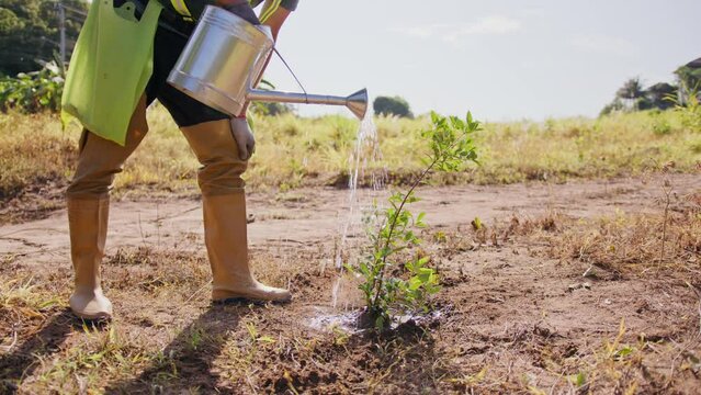 A man in work gloves and rubber boots pours water on a planted tree from a watering can. Environmental greening and reforestation concept 
