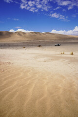 Desert with sand dunes, Namib desert in Namibia