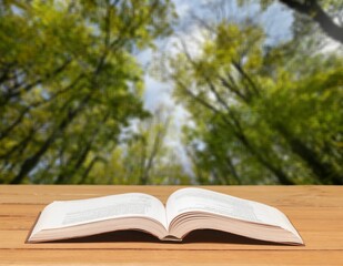 Holy Bible book outdoor on nature background