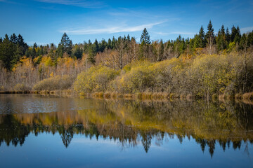 vue sur le lac de Bonlieu dans le massif du Jura