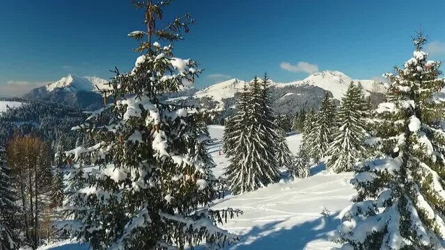 Aerial drone footage of winter Alps landscape panorama. In picture you can see huge mountains covered with white cold snow and frosty wild forest in the valley.