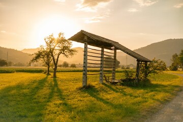 Vertical view of trees next to a hayrack in the warm glow of a sunset in the countryside