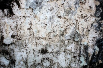 A weathered concrete wall with cracks and peeling paint, showing signs of age and decay.