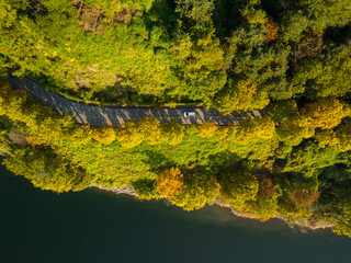 with autumn leaves. 가을, 단풍, 도로, 자동차, 호수