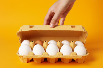 Female hand and egg box on orange background