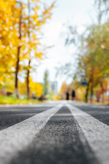 Naklejka na ściany i meble Asphalt path with white marking lines and pedestrians in bokeh in autumn park. Low angle view, selective focus