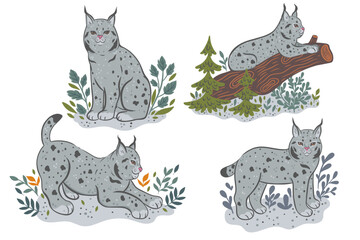 Set of lynxes isolated on white background.Vector graphics.